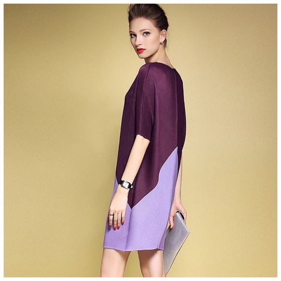 🛍 Purple Color Block Accordion Pleated Dress - Picture 3 of 6